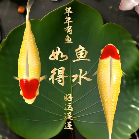 感恩👃有缘相见👃