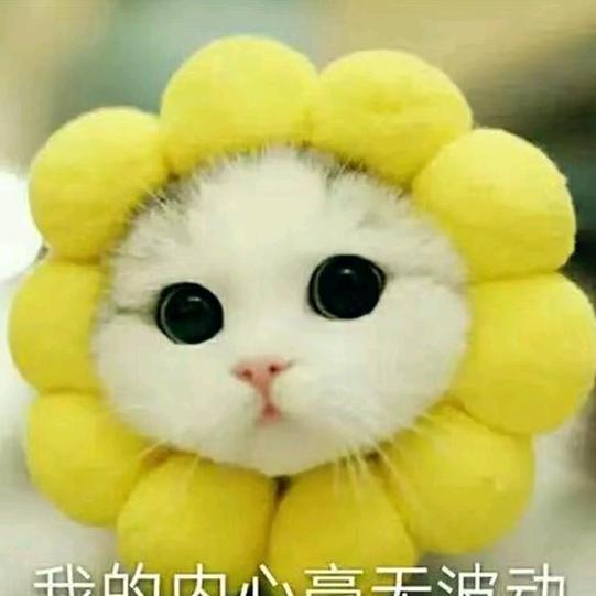 白鸟哲数码科技馆