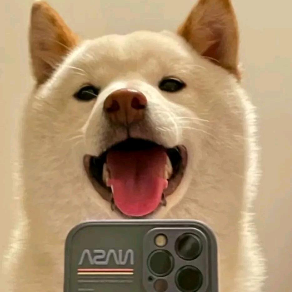 ᅠᅠᅠᅠᅠᅠᅠᅠᅠᅠᅠᅠᅠᅠᅠ