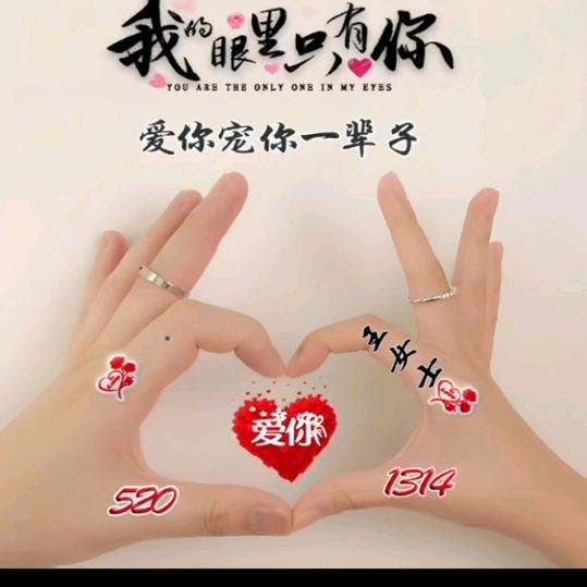 静心禅音，禅茶一味。