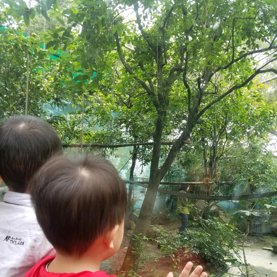 记住是：李