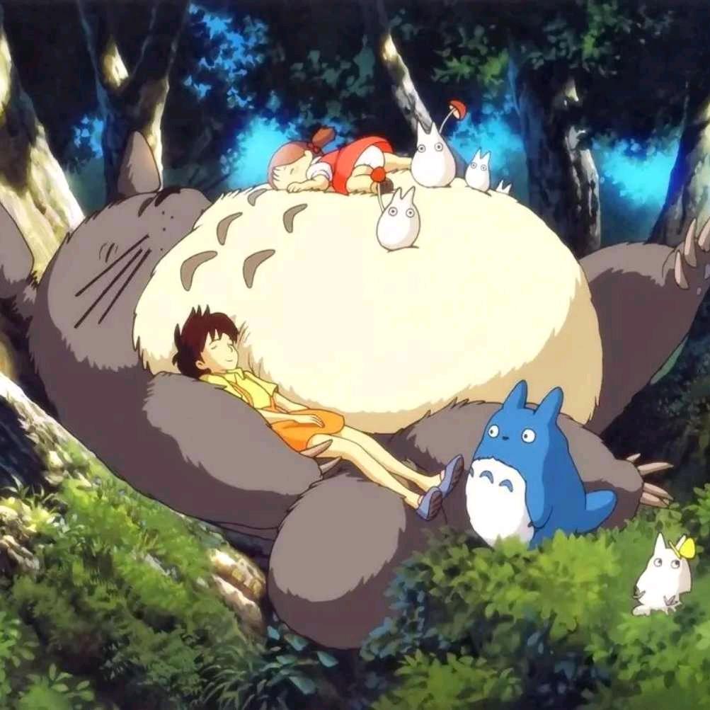 钱夕夕～