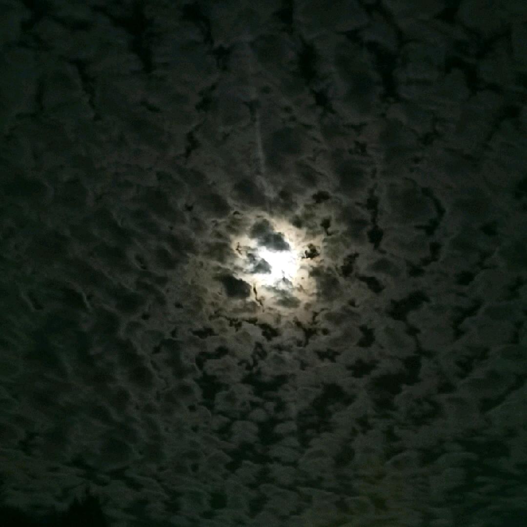 何以解忧，唯有杜康！