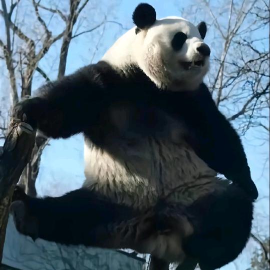 沉陆