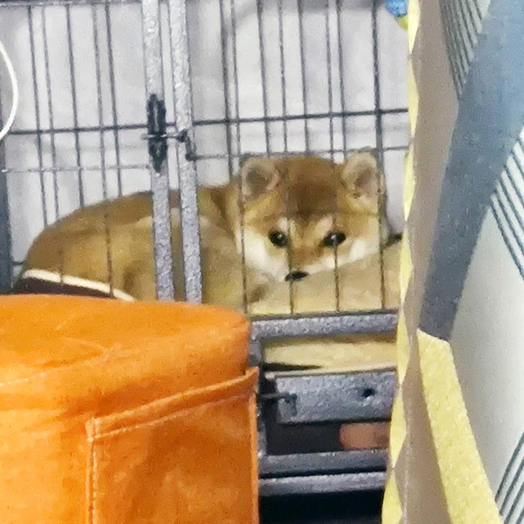 跌倒了没？崩溃了没？