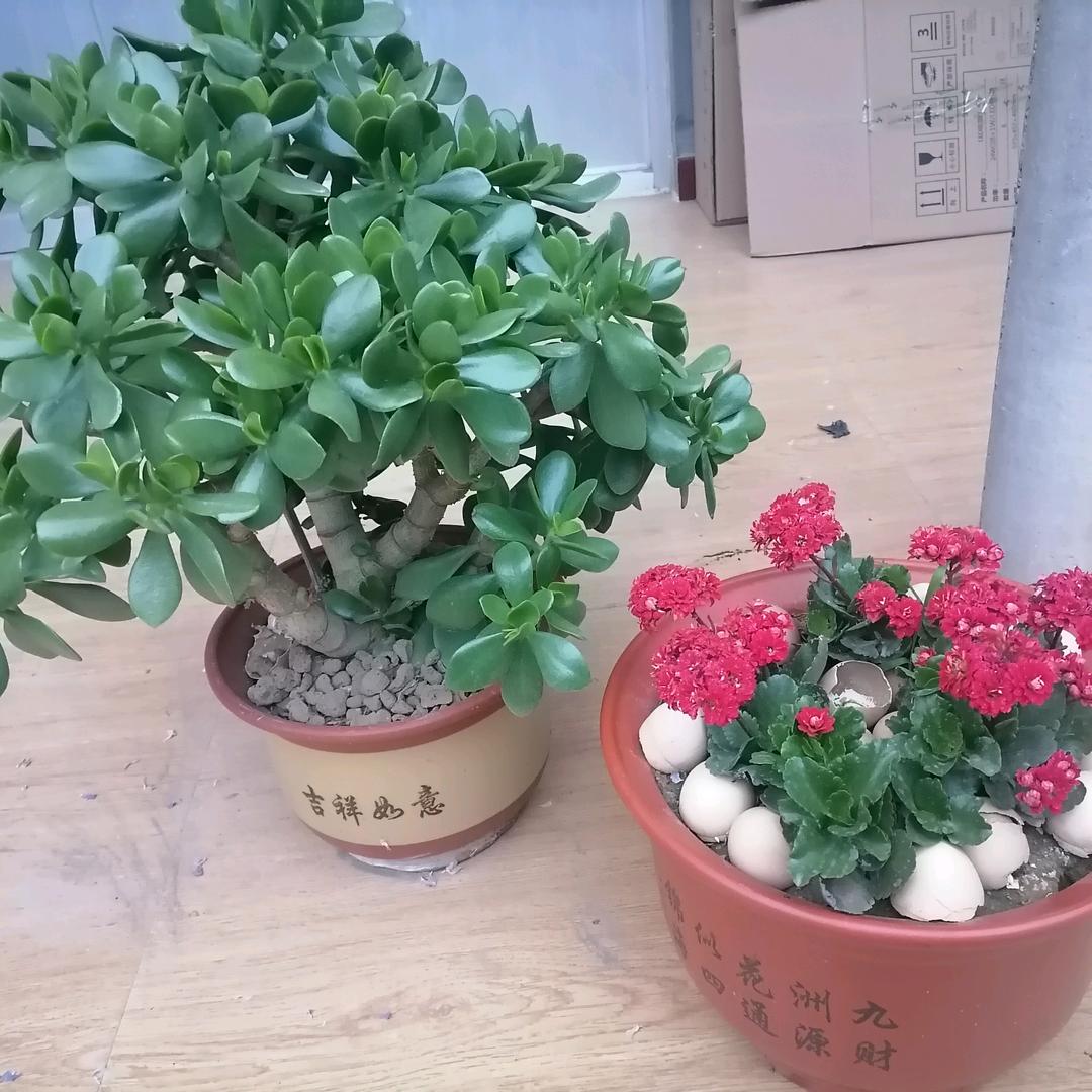 顺凯五金