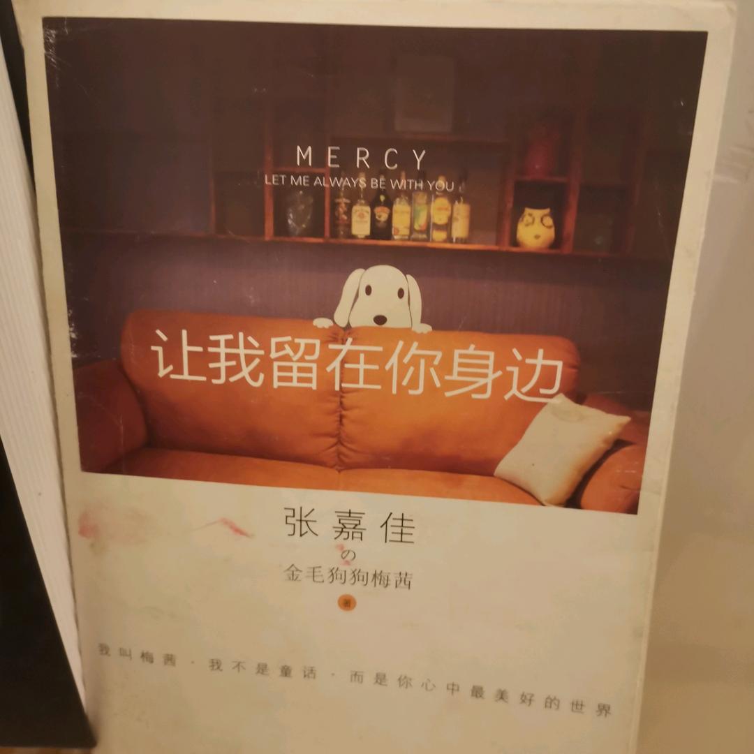 可乐猪