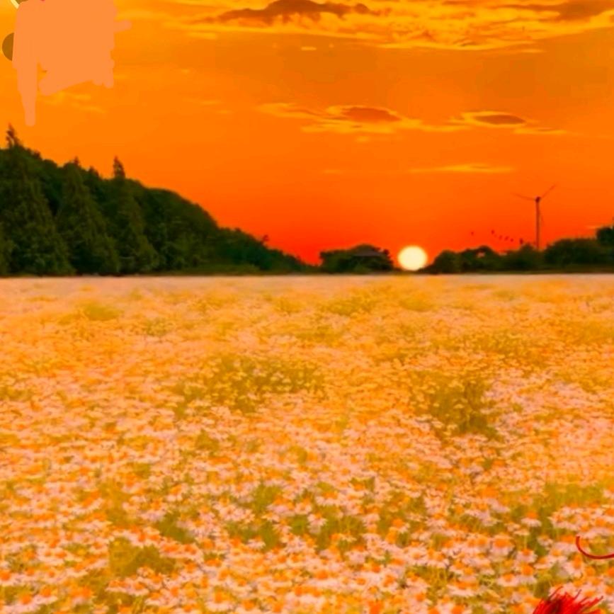 沉默
