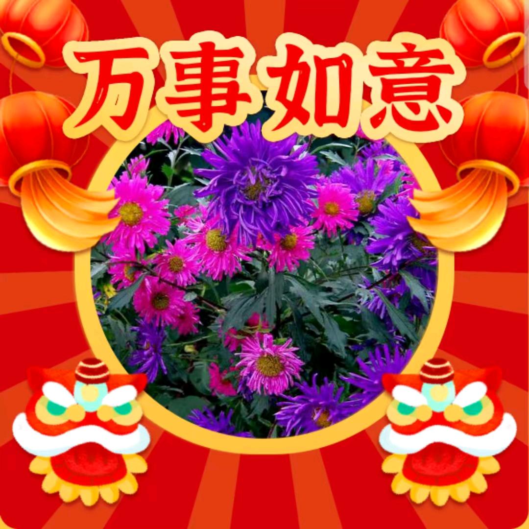 花开情缘
