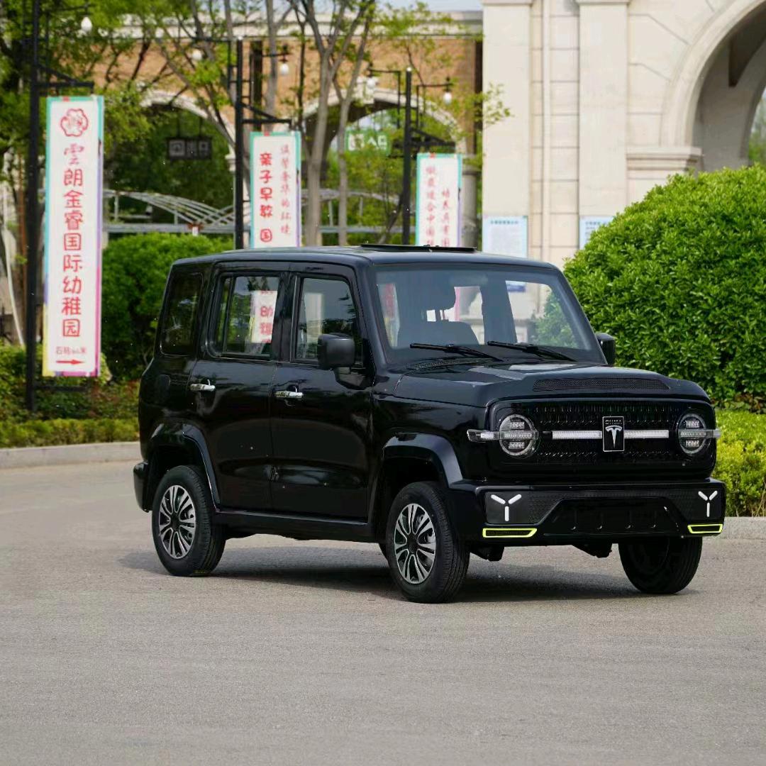 俞洒四轮电动汽车商行