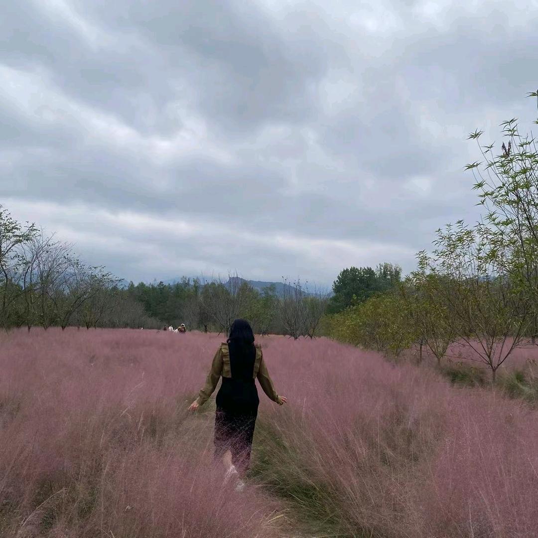 鎮铭。绿湘鲜果十水果十零食