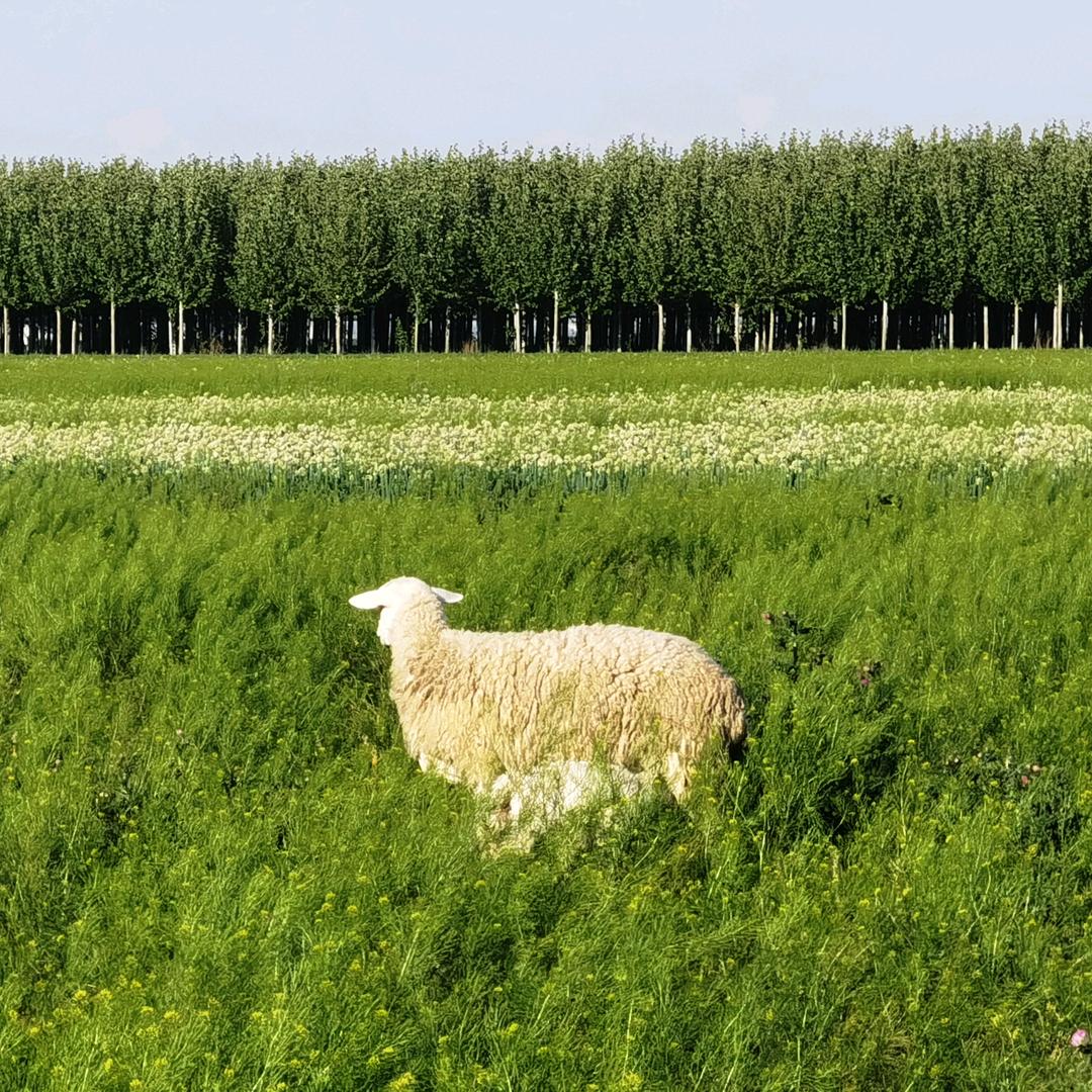 送你一瓶万能眼药水