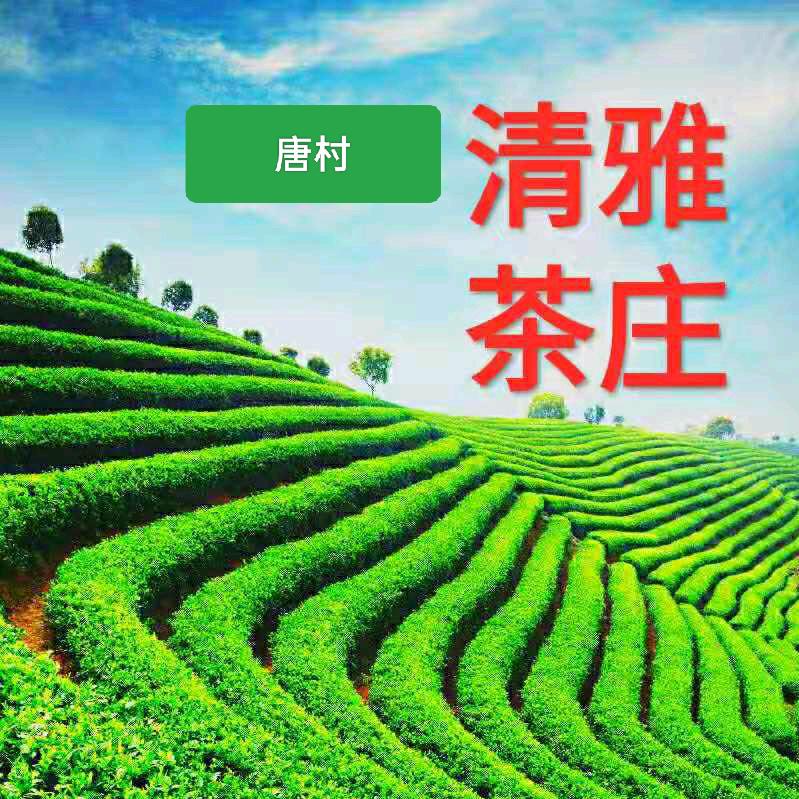 邹城市清雅茶庄