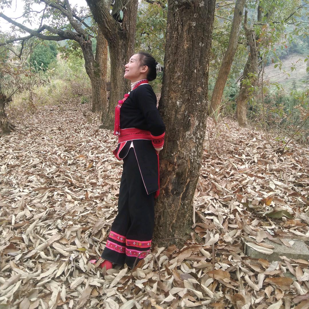 木子京婷