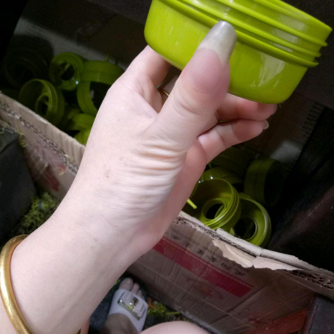 姚,芳,