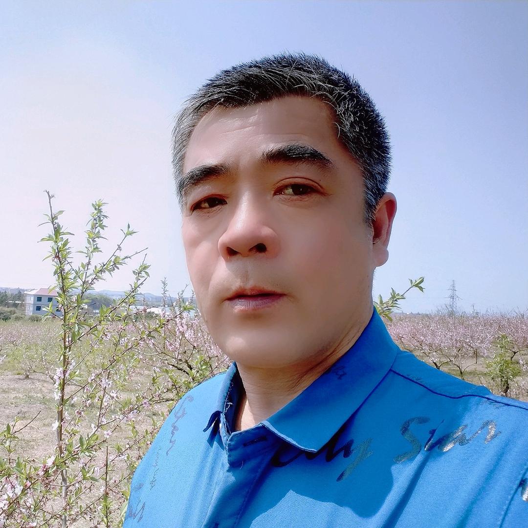 漂泊伤感的落叶