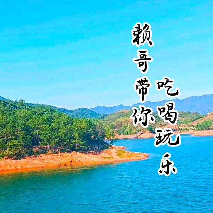 赖哥在浙里