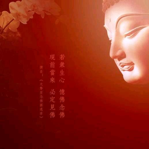 🦋ꦿ໊微笑᭄🕊前行᭄ꦿᩚ