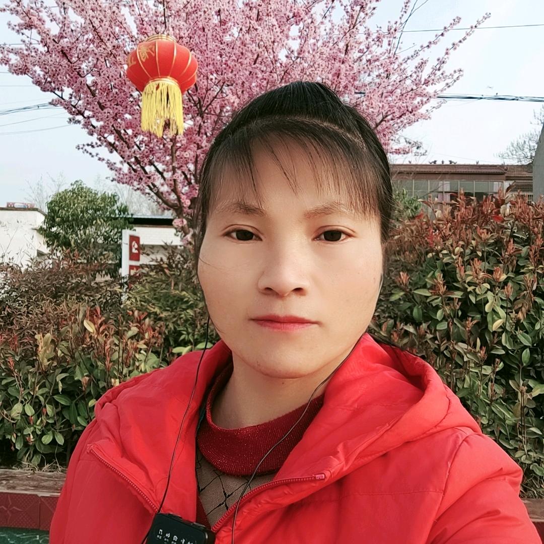 小卫