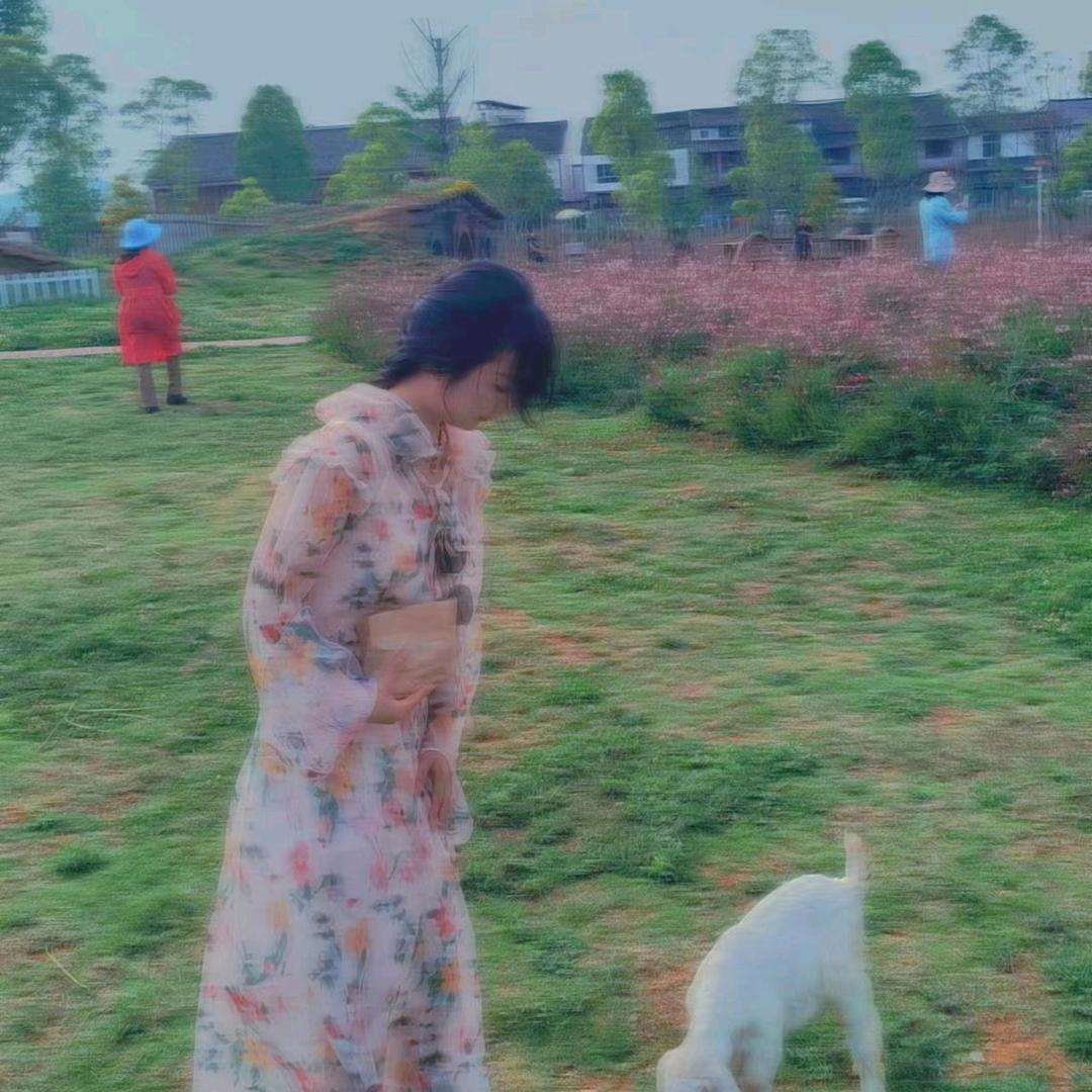 杨佳佳