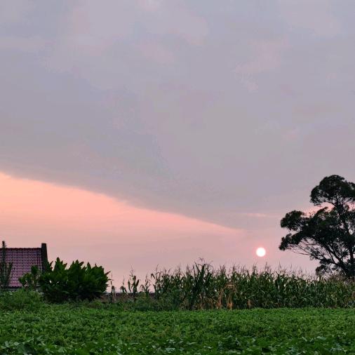 小纸伞遮雨也遮月光