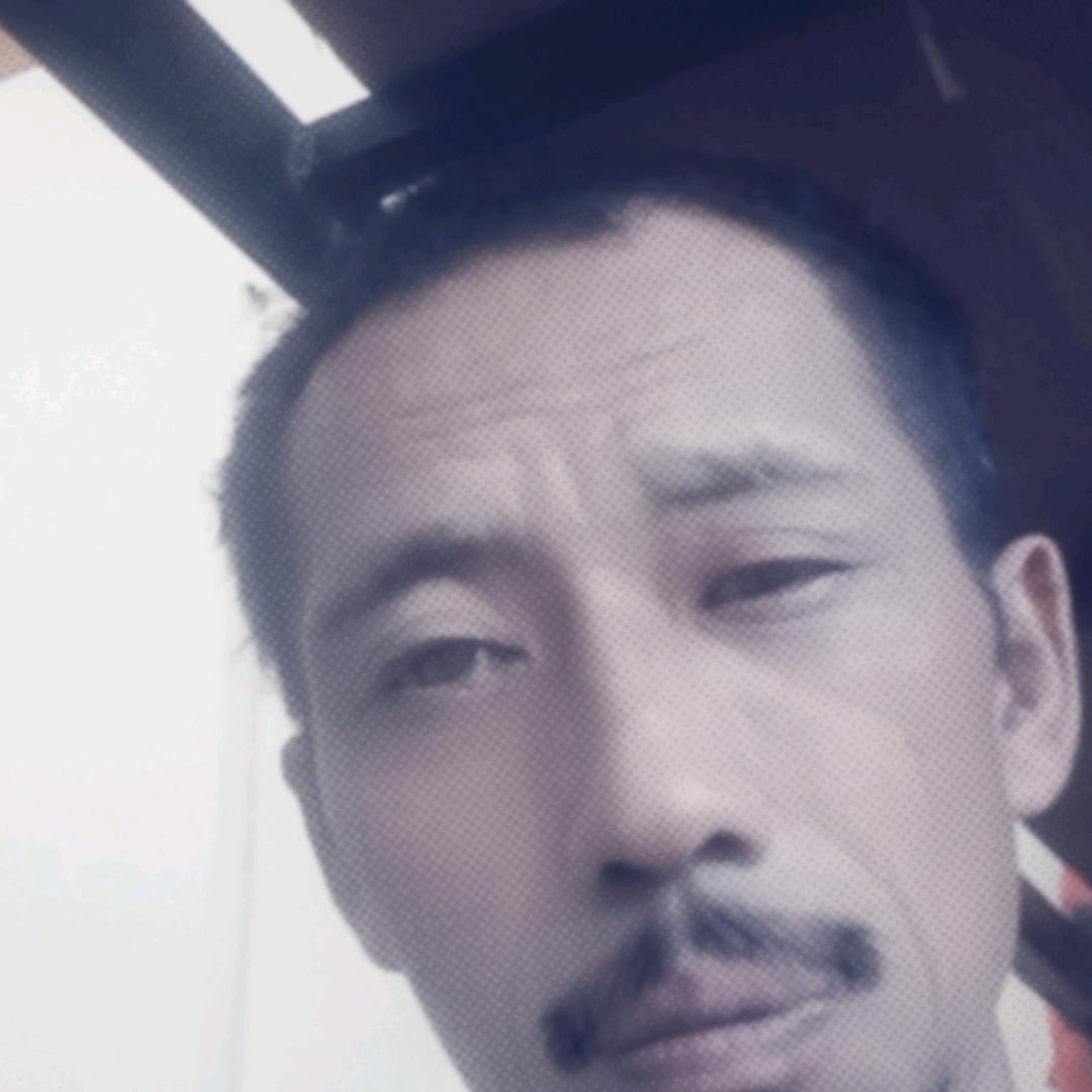 闯荡