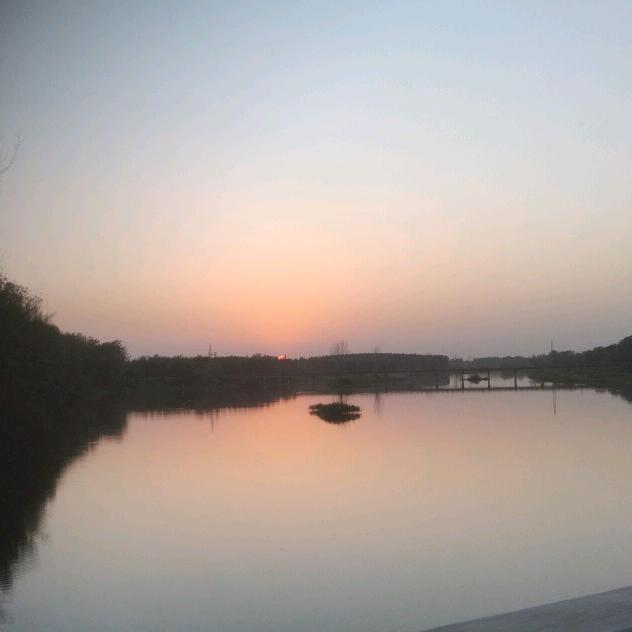 ԅ(¯ㅂ¯ԅ)养一只熟睡的🌙