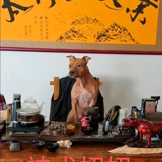 黑驴战队666666