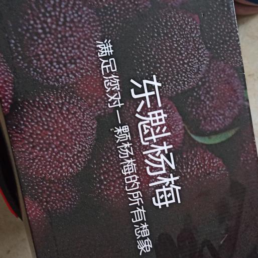 杨梅之乡