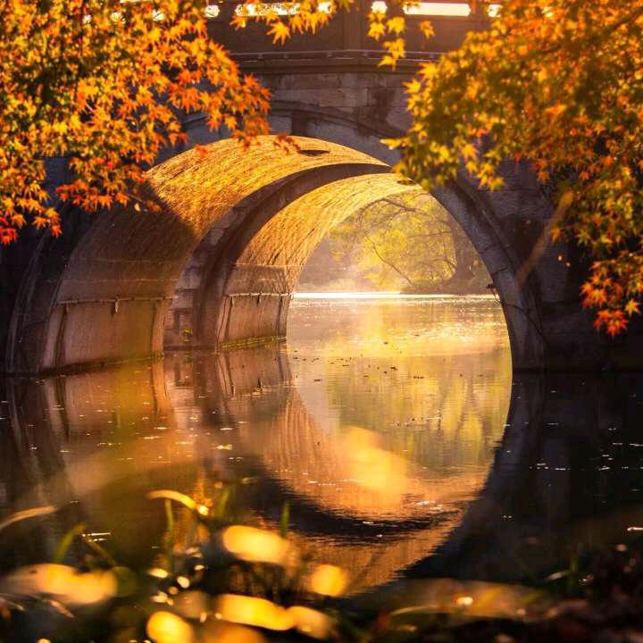 骑着毛驴上高速