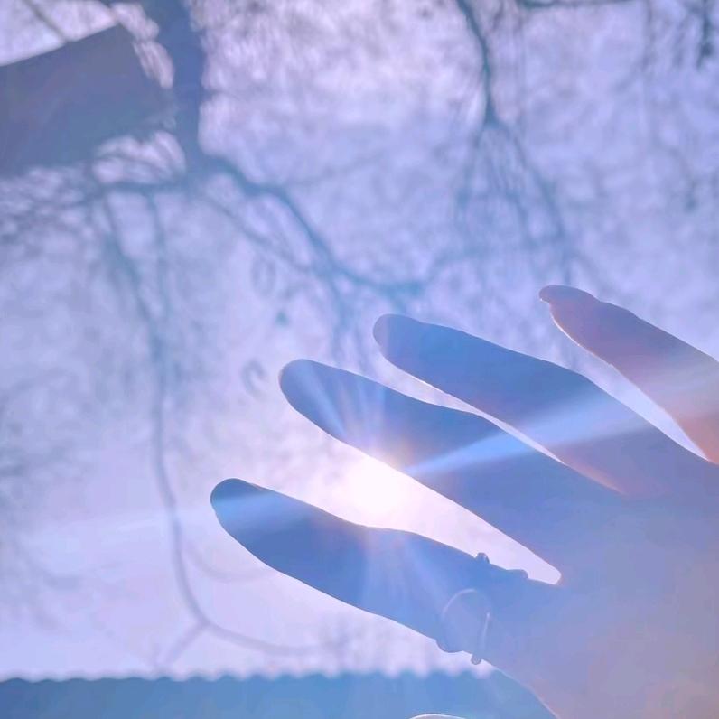 🍁指尖的阳光🍁