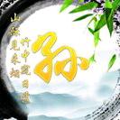 大量收购杨树，杂树，伐木服务