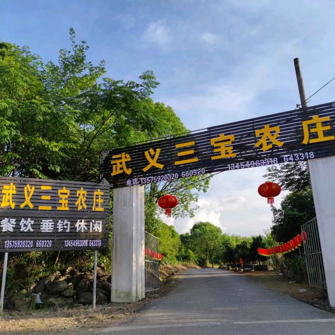 武义三宝饭店