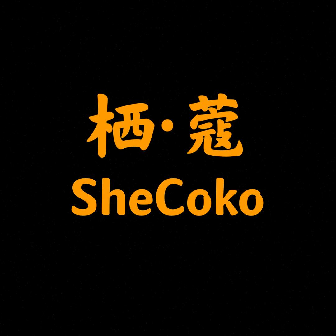 栖蔻•Shecoko高跟鞋