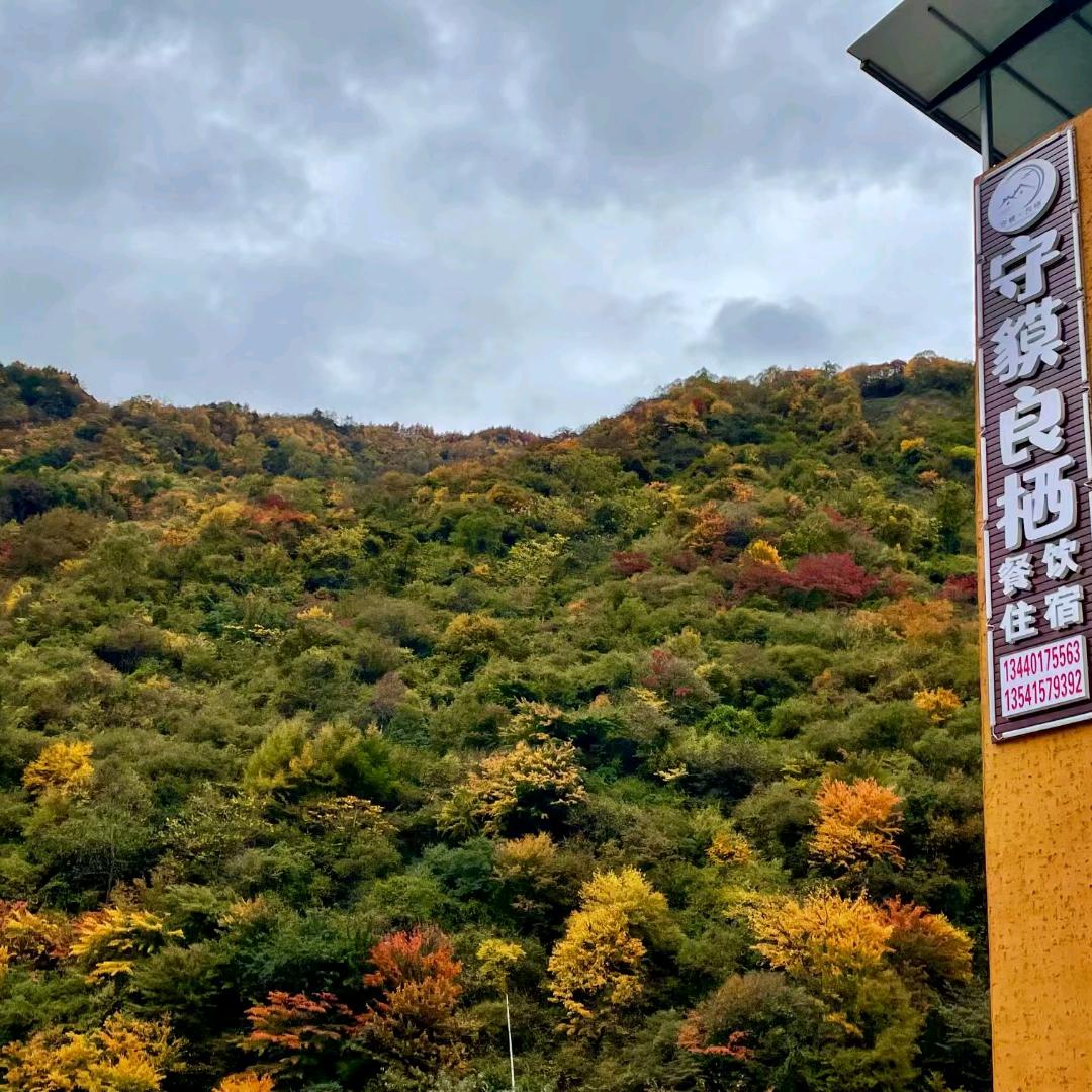 卧龙守貘良栖民宿