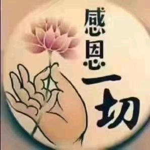 善果结善缘
