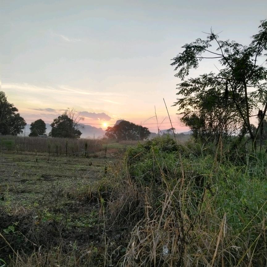 流浪歌者杨巅风