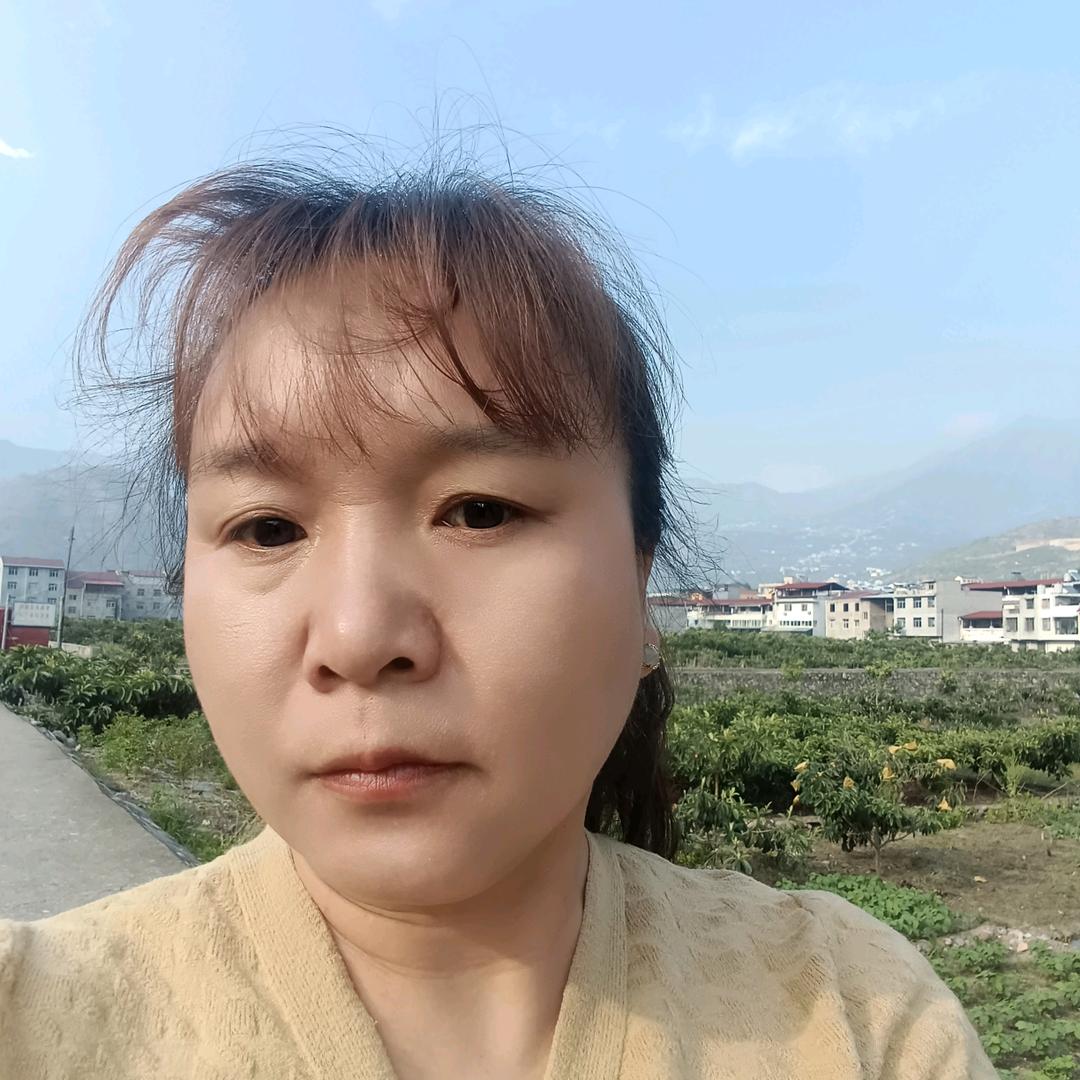 河西五羊一本田  罗敏车行