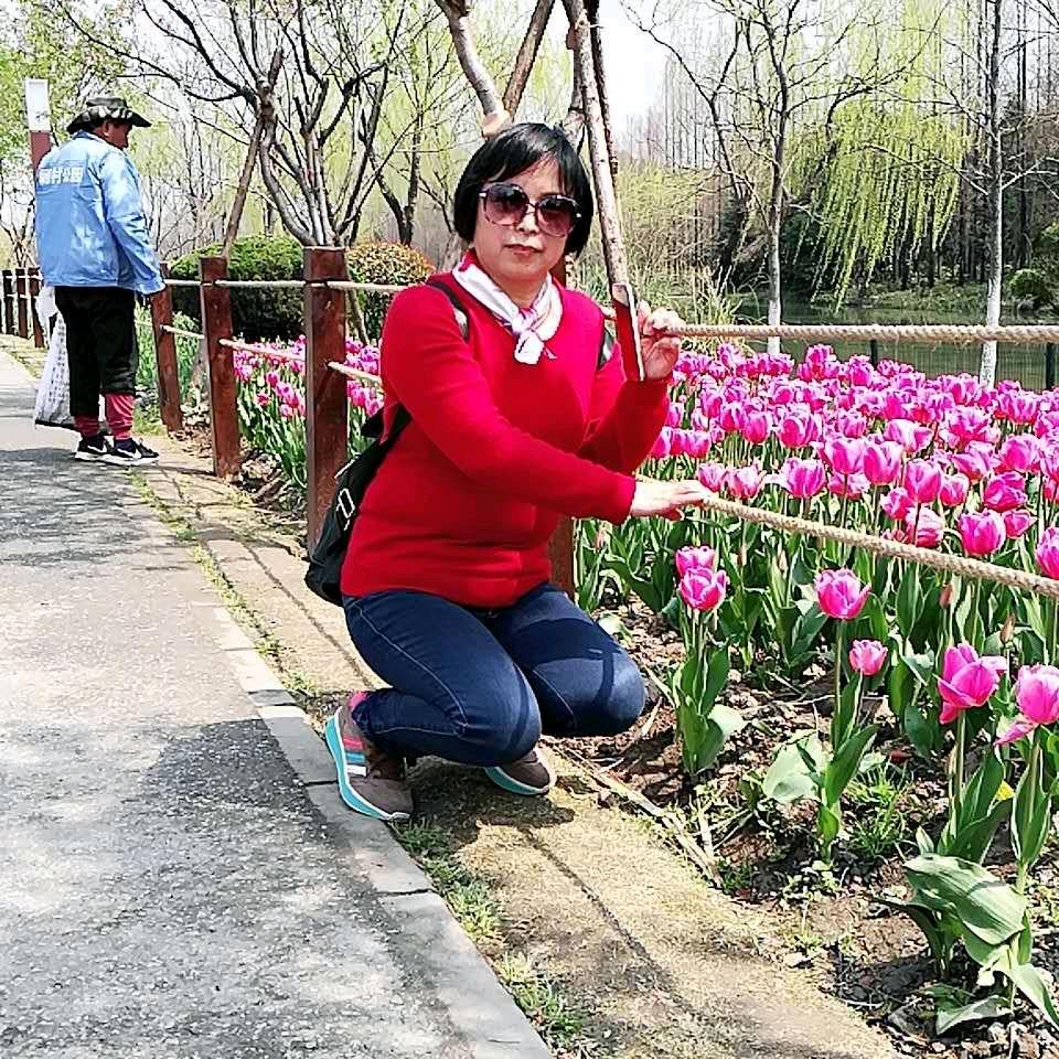 桔子姐
