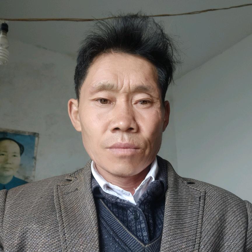 愿望真心