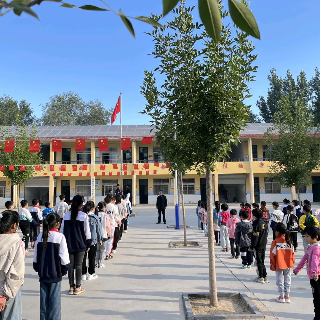绿叶