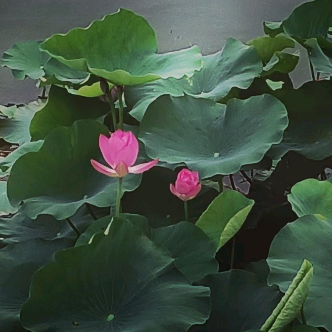调理经络