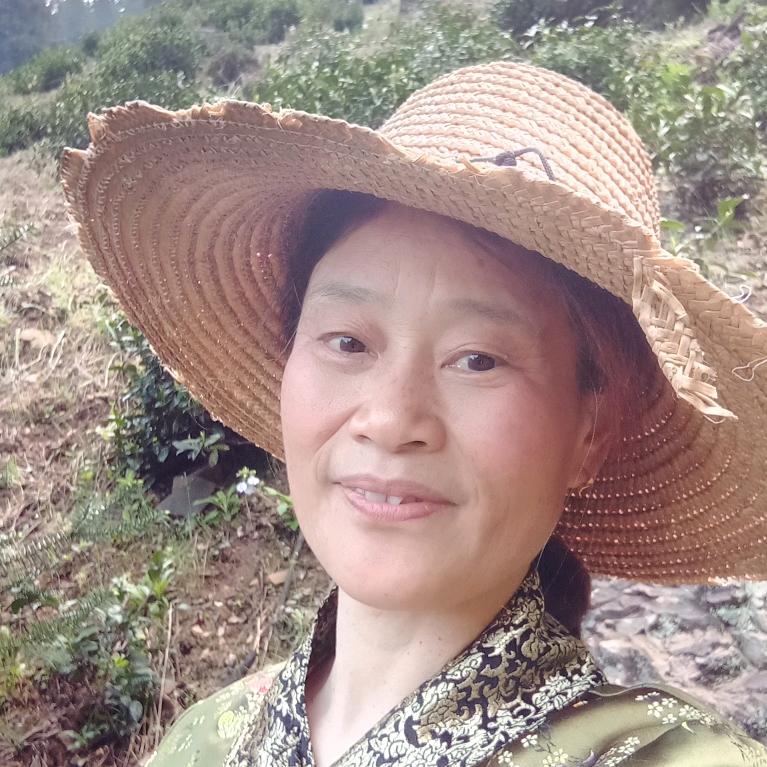 山里茶婆婆