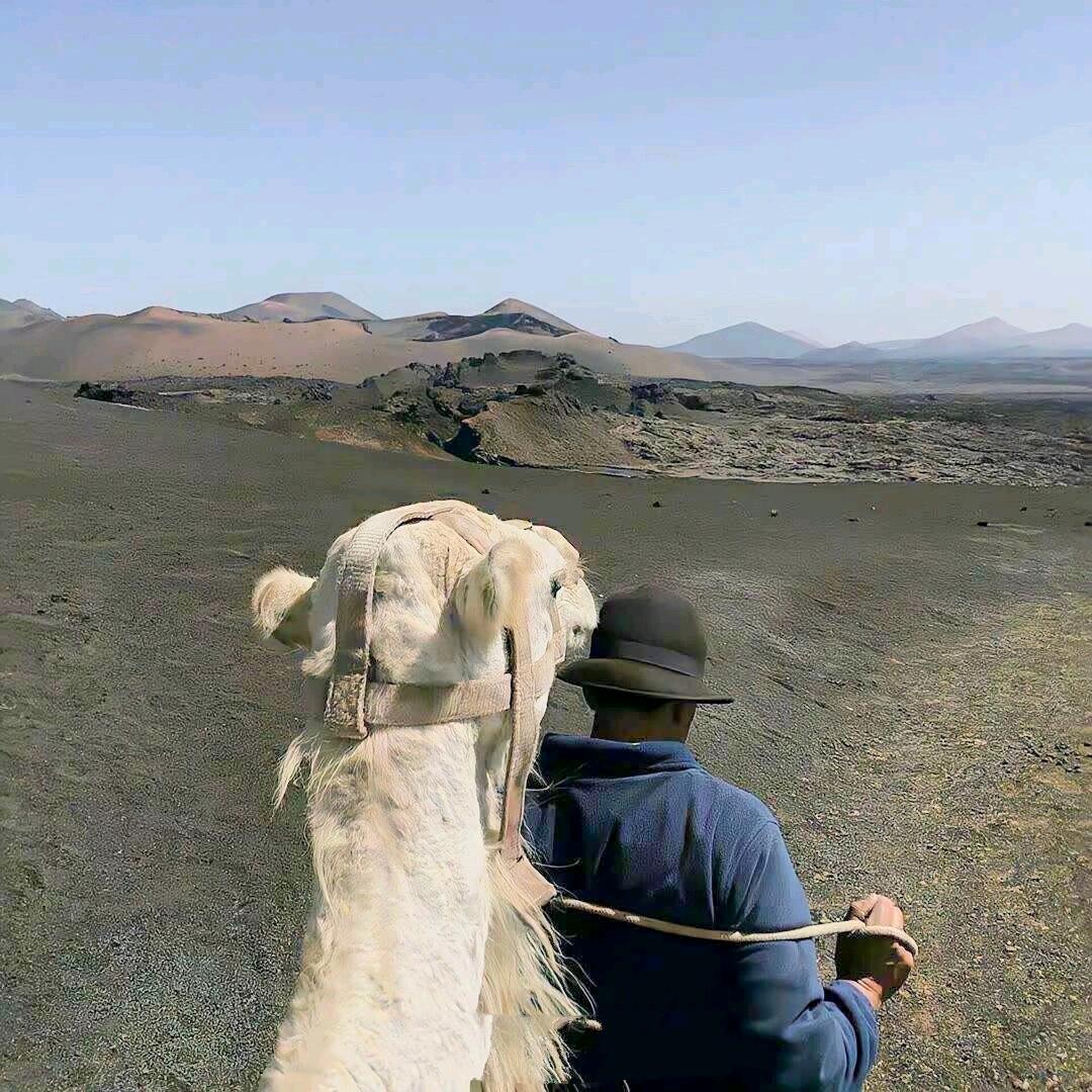 跑不动的小明