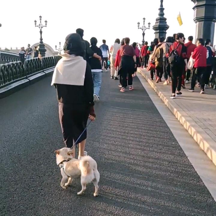 珍姐
