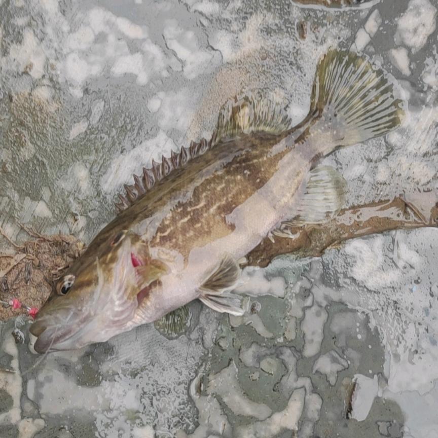 铜湖牢玩家