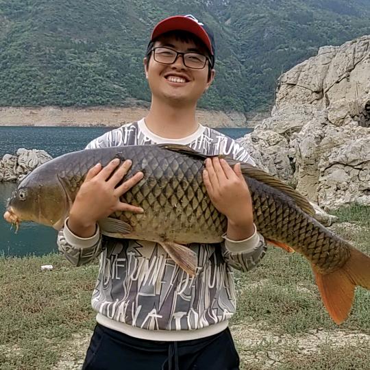 小鱼杀手