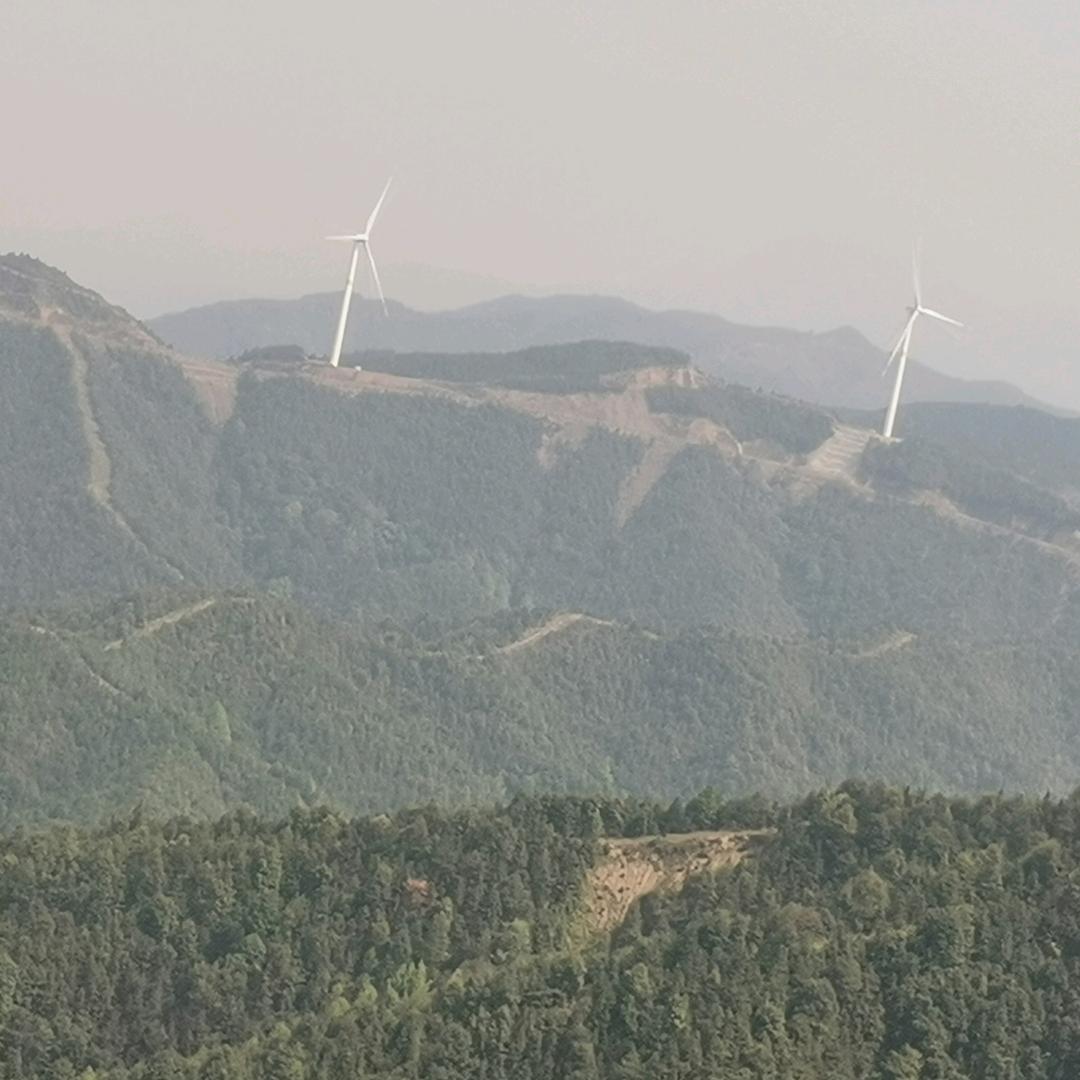 岁月光明