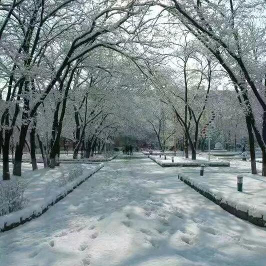 冷雪
