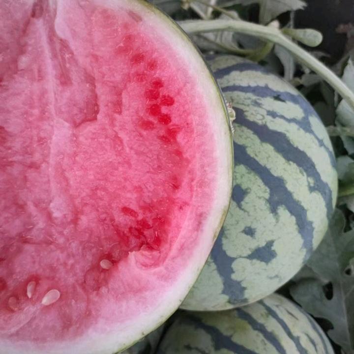 寿县安丰西街。